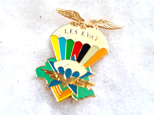Insigne militaire 1 rcp - 1°,