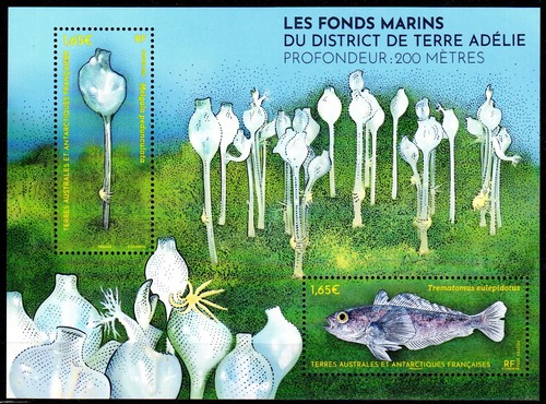 Timbres taaf 1081 - et, 1082