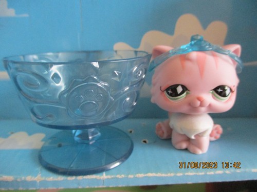 Petshop chat persan 460 - petshop, +
