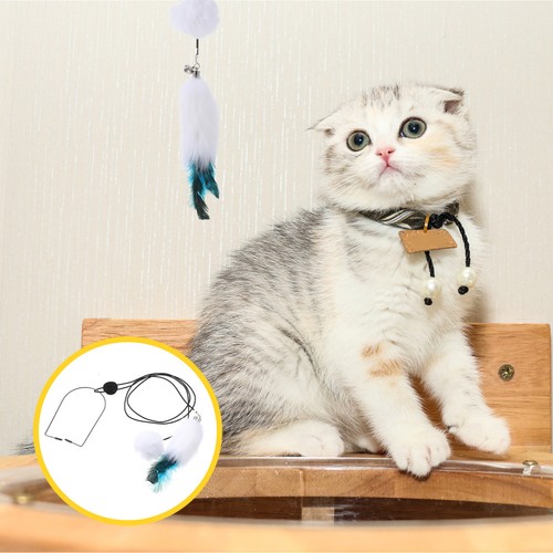Jouet pour chat interactif - ,