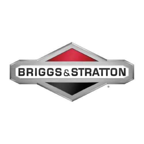 Briggs stratton 494136 - briggs,