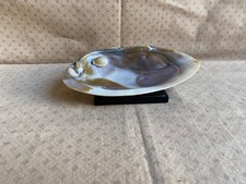 Vide poche, coquillage Grande