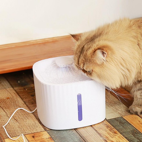 Fontaine eau pour chat - fontaine,