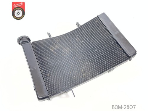 Radiateur eau triumph street - radiateur,