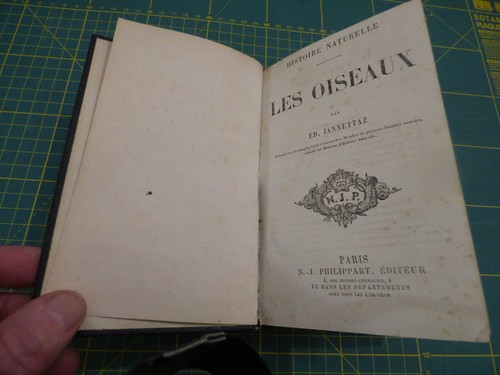 Les oiseaux histoire - oiseaux,,