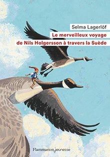 Merveilleux voyage nils - merveilleux,