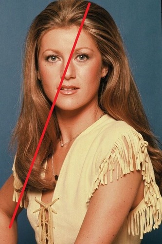 Sheila photo - ,