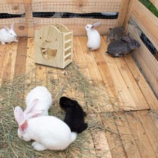 Distributeur de nourriture