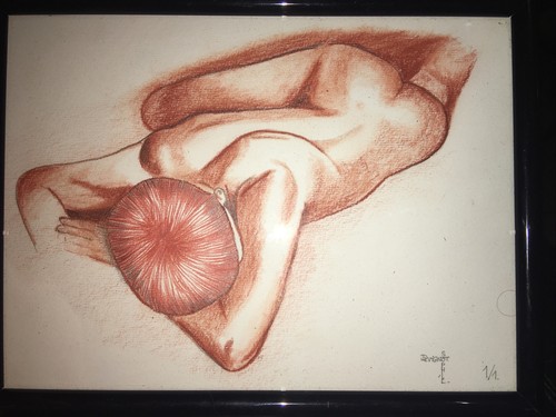 Devignot sophie dessin - devignot, xxème