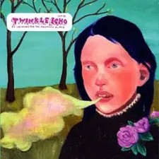 Casiotone for the painfully - casiotone,