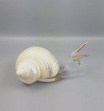 Escargot En Verre Transparent
