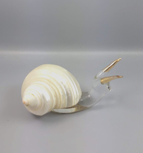 Escargot verre transparent - en,