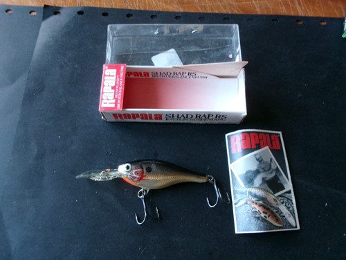 Rapala pêche poisson - pêche,