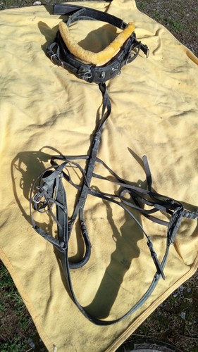 Harnais attelage taille cob - harnais,