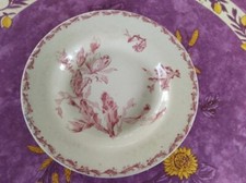 Assiette Creuse Porcelaine Opaque Gien Modèle Cactus Déco Floral Rose/Rouge 24cm