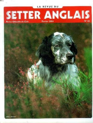 Revue setter anglais - revue,