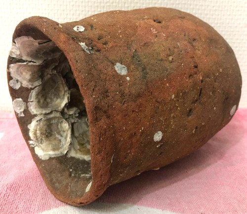 Ancien piège poulpes - ancien,