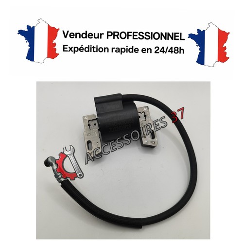 Bobine allumage pour moteur - pour,
