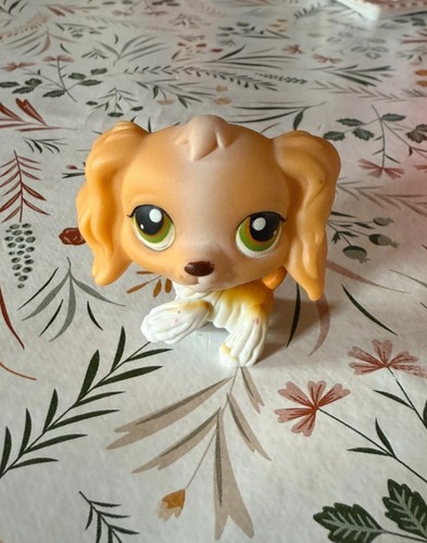 Lps littlest petshop - #79,
