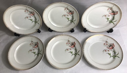 Lot2 assiettes plates - lot2, 6