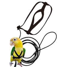 Harnais d'oiseau perroquet