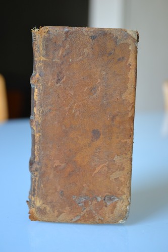Taliclea di ferrante - taliclea,