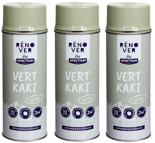 Kaki bombes peinture - bombes,