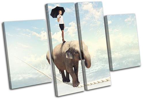 Elephant tight rope surrealism - elephant,