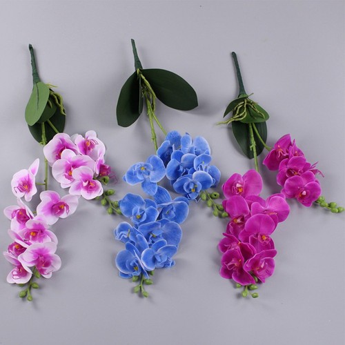 Têtes orchidées papillon - 12,