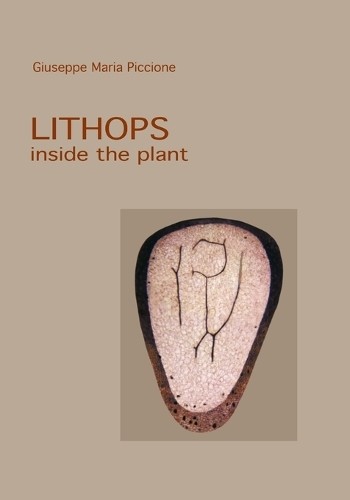 Lithops inside the - , plant