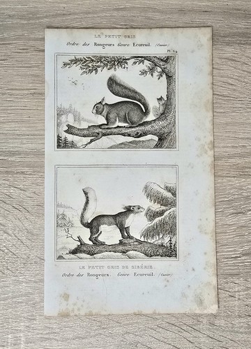Ancienne gravure sur cuivre