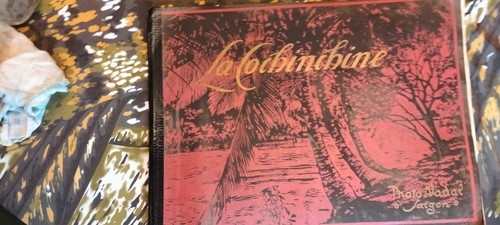 Album illustré photos - album,