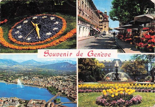 Suisse geneve horloge - suisse, fleurie