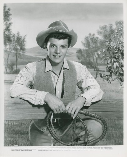 Frankie avalon guns the - guns, of