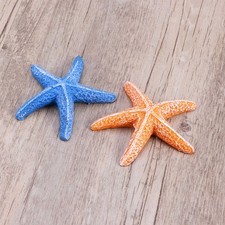  Décoration Aquarium