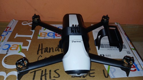 Parrot bebop with pilot - with,