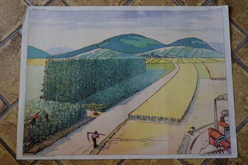Affiche rossignol 20 - rossignol,