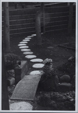 Japon, Tokyo, Jardin du