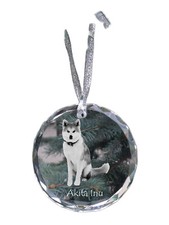 Akita, Akita Inu - Boule Avec