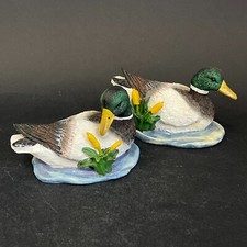 Couple de canards pour