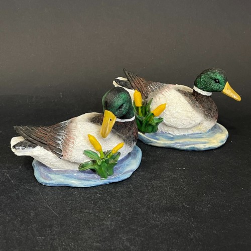 Couple canards pour - de,