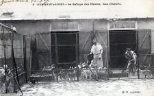 CPA 92 GENNEVILLIERS LE REFUGE DES CHIENS LES CHENILS (ANIMEE