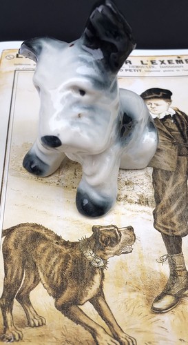 Sujet chien fox - sujet,