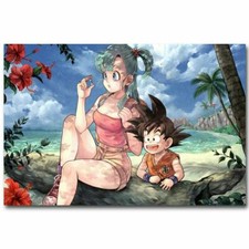 toile tableaux manga  dragon ball   50x70 cm