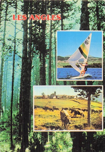 Les angles lac matemale - angles,