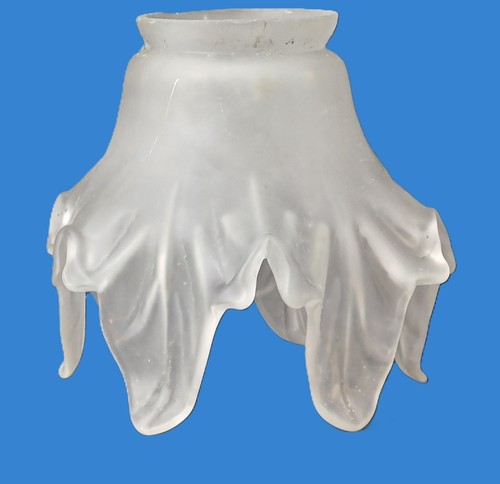 Jolie tulipe opaline pour - tulipe, en
