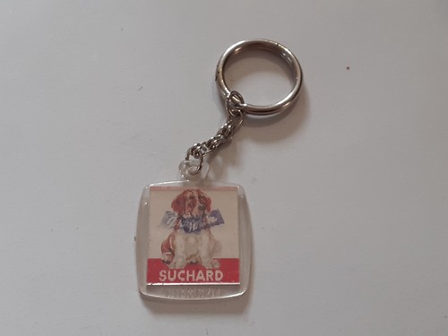 Porte clé clef holographique - porte,