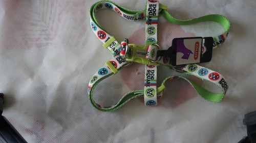 Harnais pour chats petit - harnais, ou