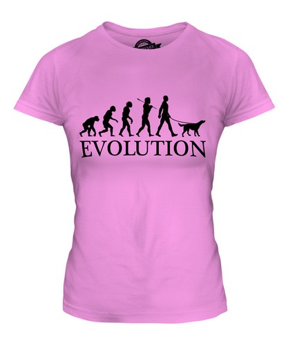 Gordon setter evolution man - setter,