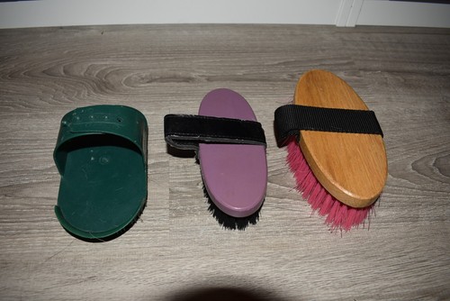 Brosses équitation lot - brosses, d'équitation